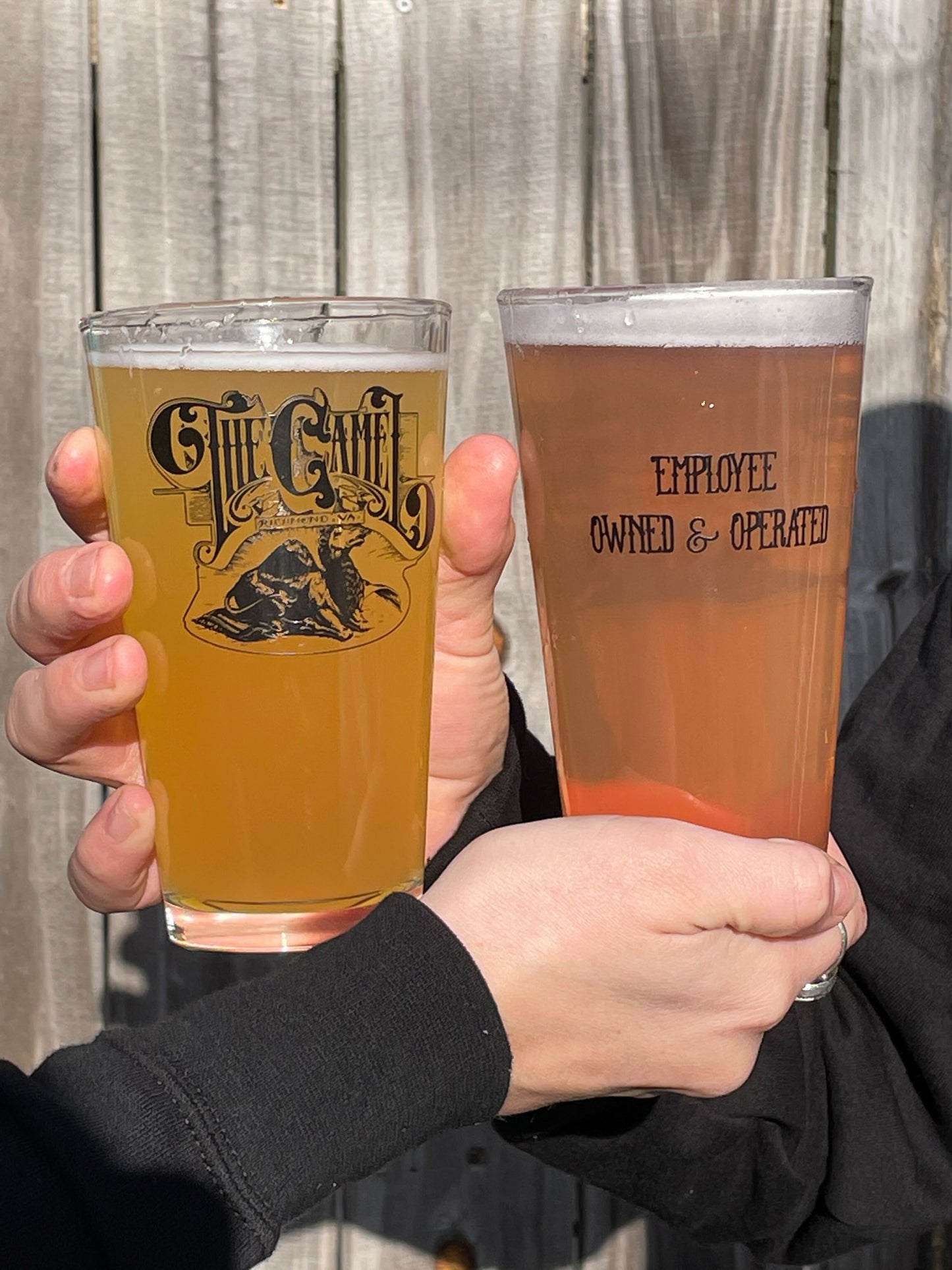 Camel Pint Glass