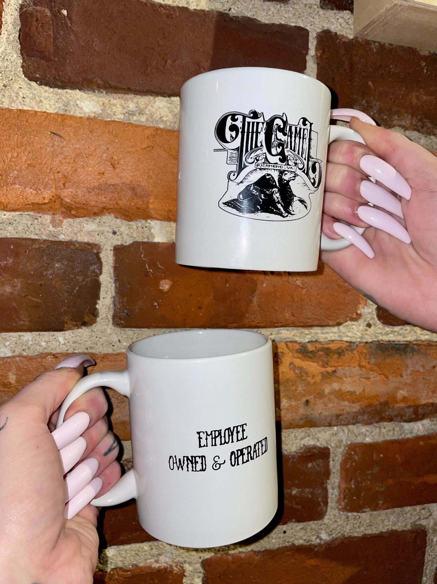 Camel Coffee Mug
